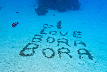 I love Bora Bora