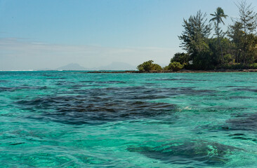 Fototapeta na wymiar Huahine's lagoon, French Polynesia