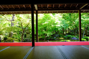 圓光寺の客間からの新緑が美しい庭園の風景
