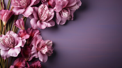 template for text purple light iris flowers on a dark background isolated with copy space.