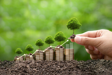 Global green business growth, profit, development and success Concept.  Hand human holding tree...