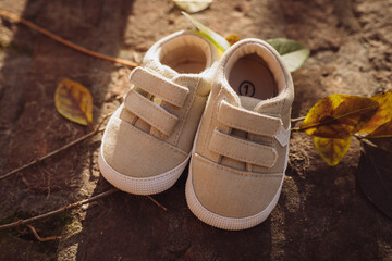 baby shoes in a autumn background