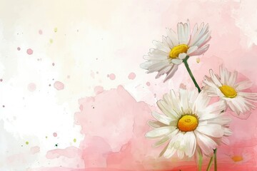 Spring or summer nature scene with blooming white daisies on soft pink watercolor background, copy space.