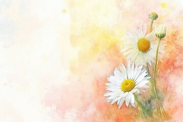 Daisies: Associated with innocence and true love, valentine theme, watercolor, big copy space.