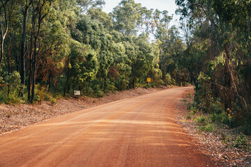 Australian forest road , red land 