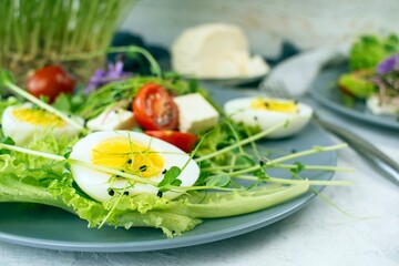 Healthy salad with lettuce, cherry tomatoes, mozzarella cheese and microgreens, on a plate, light background