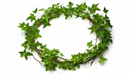 In a white-backgrounded setting, elongated vines come together to create a strikingly green wreath within an isolated rainforest, featuring a clipping path.
