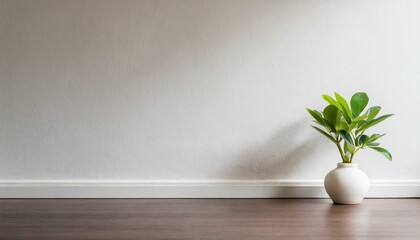 Empty room with white wall and white vase with flowers - 709005223