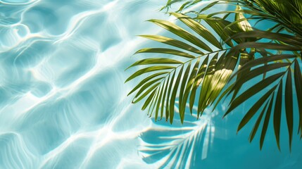 Fototapeta na wymiar Palm leaves shadow in the swimming pool water for natural cosmetics or vacation holiday trip in summer