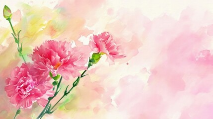 Pink carnation flowers on a watercolor background, copy space.