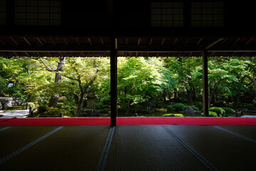 圓光寺の客間からの新緑が美しい庭園の風景 - obrazy, fototapety, plakaty