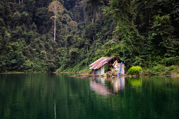 hut in jungle
