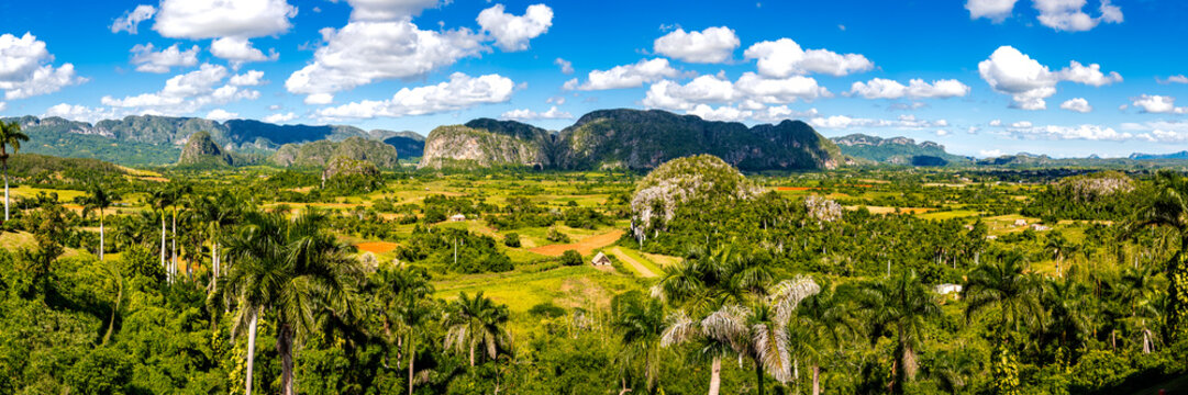 Enchanting panorama of Valle de Vi&ntilde;ales valley with palm trees, tobacco fields and limestone Mogote hills of Sierra de Vi&ntilde;ales mountain range, picturesque Caribbean landscape of a famous place in Cuba