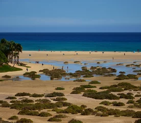 Tableaux sur verre Plage de Sotavento, Fuerteventura, Îles Canaries Sotavento beach with mudflats and people walking, Costa Calma, Fuerteventura, Canary Islands