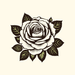 Vector hand drawn rose isolated on background