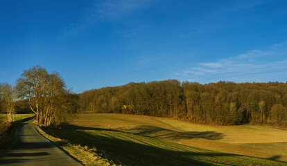Felder und Wälder, schneeloser Winter, Birken im Feld