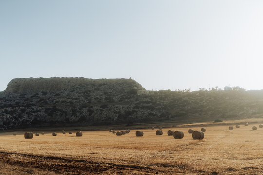 Summer Harvest Beauty at Cape Greco Peninsula