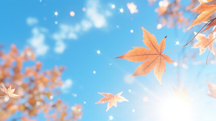 Maple leaves illuminated by sunlight against a blue sky, conveying the warmth of autumn.