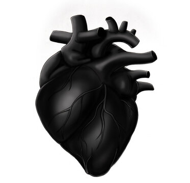 3d rendered illustration of a black anatomical heart