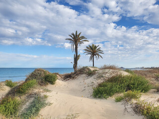 Murcia - San Pedro del Pinatar: sus salinas, playa y espacio natural.