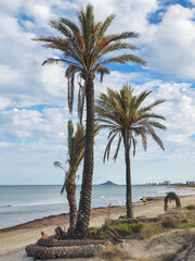 Murcia - San Pedro del Pinatar: sus salinas, playa y espacio natural.