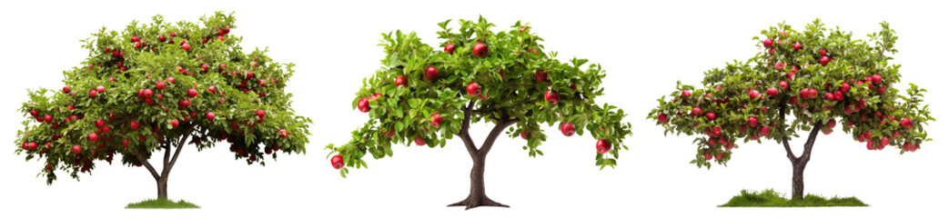 Fototapeta premium Set of orchard trees with ripe red apples, cut out