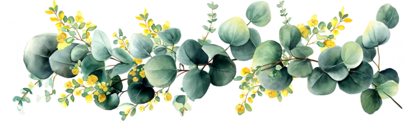 Fotobehang Green and yellow eucalyptus leaves in watercolor style, detailed and realistic, isolated on transparent or white background © Teerawan
