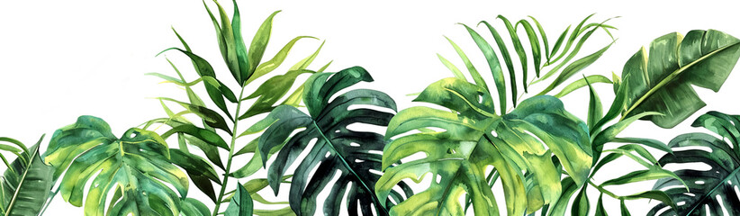 Watercolor illustration of various green, tropical leaves forming a vibrant border, isolated on transparent or white background