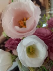 wedding rings and roses