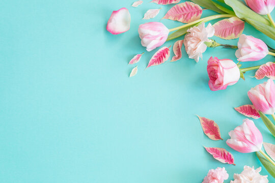 beautiful pink spring flowers on blue background