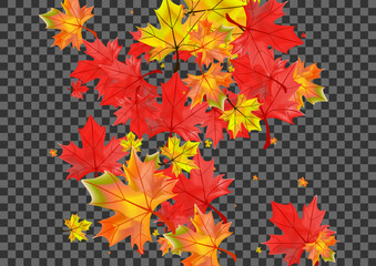 Golden Leaf Background Transparent Vector. Foliage Collection Template. Brown Paper Plant. September Leaves Frame.