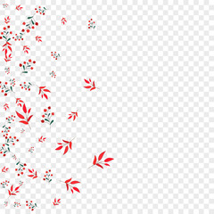 Green Berries Background Transparent Vector. Rowan Wood Template. Red Herb. Burgundy Leaves November. Realistic Illustration.