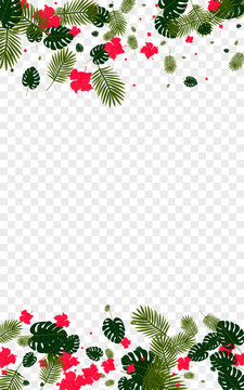 Green Leaves Background Transparent Vector. Palm Aloha Illustration. Red Monstera. Vintage Pattern. Pink Hawaiian Design.