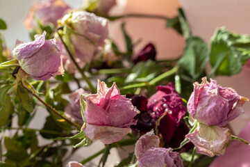 Concept shot of the background theme, wrapping paper, dried roses other flowers and other arrangements. Valentines day