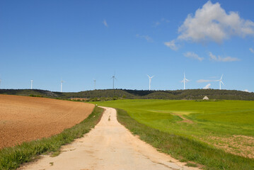 Wind turbines on horizon, Castilla-La Mancha, Spain