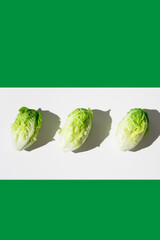Tres corazones de lechuga fresca para ensalada sobre fondo blanco y verde. Vista superior