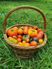 A large wicker basket brimming with vibrant and assorted vegetables, each contributing its unique colors and textures.