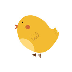 Cute chicken - baby animal illustration transparant backgound png