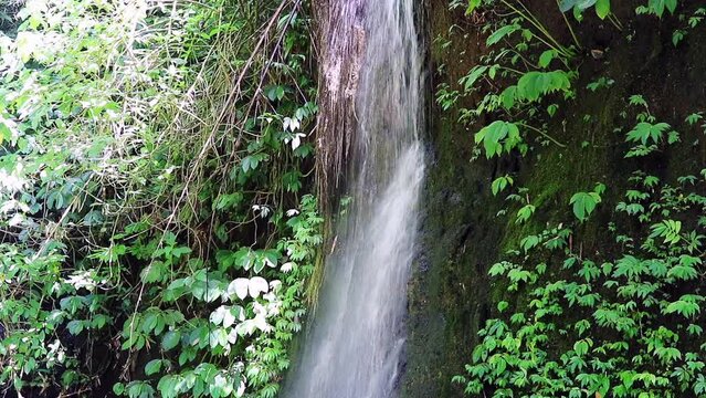 Beautiful waterfall in Bali