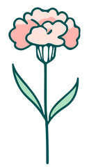 Kwiat goździk ilustracja - obrazy, fototapety, plakaty
