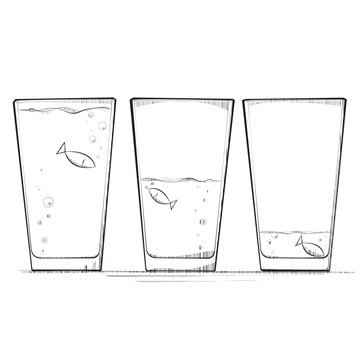 Three fish in three glasses