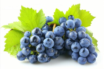 Fototapeta premium High quality detailed blue grape isolated on white background for advertising and marketing purposes