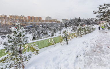 Fototapeta premium BAKU, AZERBAIJAN - JANUARY 31 2024: A park covered with snow in Baku in January