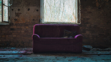 Couch - Sofa  - Verlassener Ort - Urbex / Urbexing - Lost Place - Artwork - Creepy - Lostplace - Lostplaces - Abandoned - High quality photo	