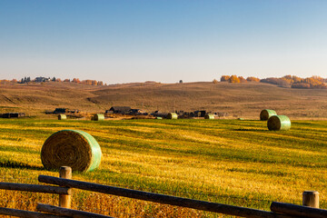 Hay bales in a fall harvested field. Rockyview County, Alberta, Canada