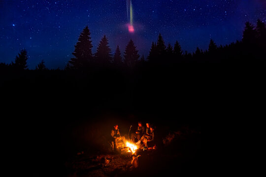 Group of people near the fireplace in the night forest