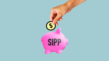 Self invested personal pension SIPP is shown using the text