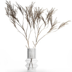  Minimalistic Bouquet Of Dry Branches In A Vase  isolated on white background 
