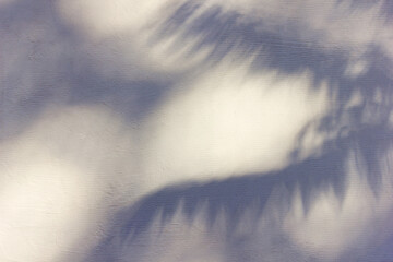 Coconut palm leaf shadow silhouette on white ground background. Summer vacation concept. Natural texture.