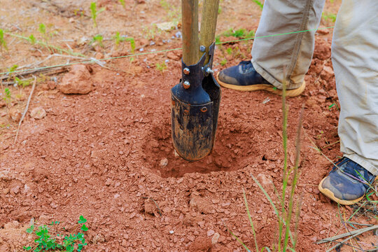 An individual using hand post hole digger to dig fence post